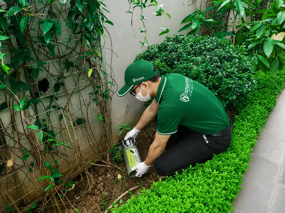 Kỹ thuật viên NOVAPEST triển khai biện pháp kiểm soát chuột