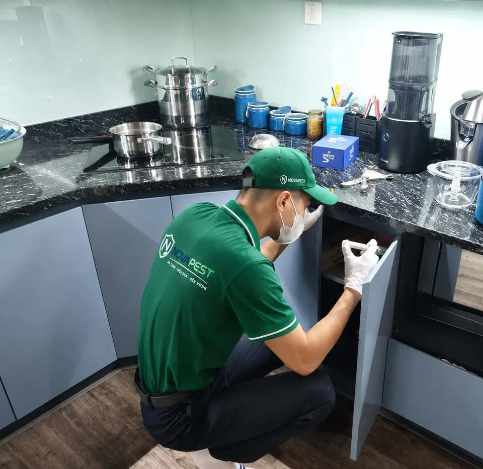 NOVAPEST triển khai giải pháp kiểm soát gián