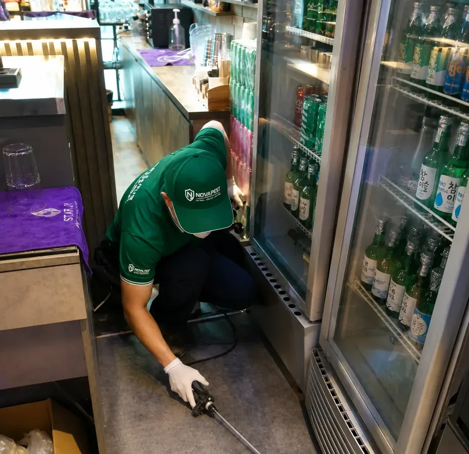 NOVAPEST triển khai giải pháp kiểm soát kiến