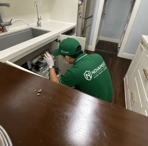 Kỹ thuật viên NOVAPEST triển khai dịch vụ tại dự án - hình 2