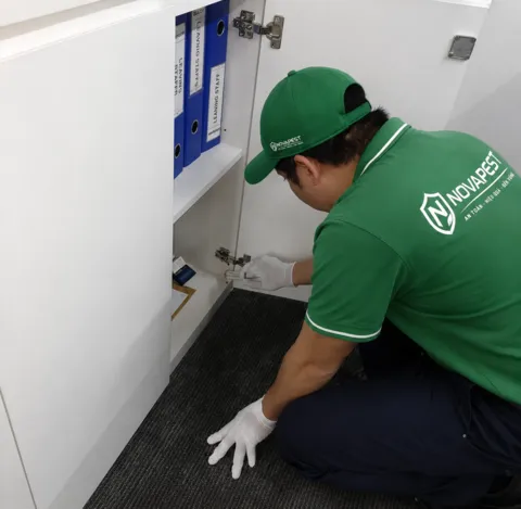 Kỹ thuật viên NOVAPEST triển khai dịch vụ tại dự án - hình 4
