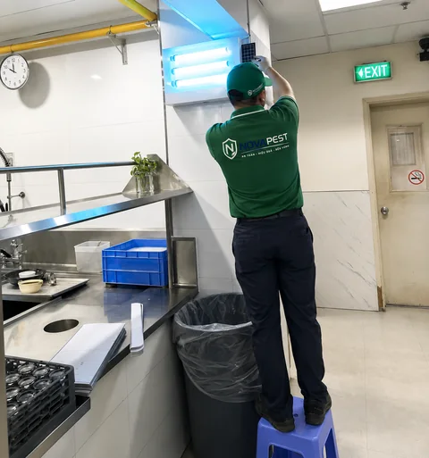 Kỹ thuật viên NOVAPEST triển khai Diệt mối hiệu quả cho hộ gia đình - hình 8