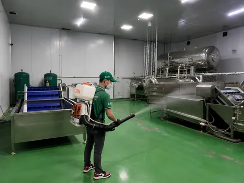 Hình ảnh NOVAPEST khảo sát và triển khai kiểm soát sinh vật gây hại tại Nhà máy & Sản xuất