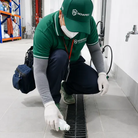 Kỹ thuật viên NOVAPEST triển khai Kiểm soát côn trùng tổng hợp (IPM) cho doanh nghiệp tại dự án - hình 11