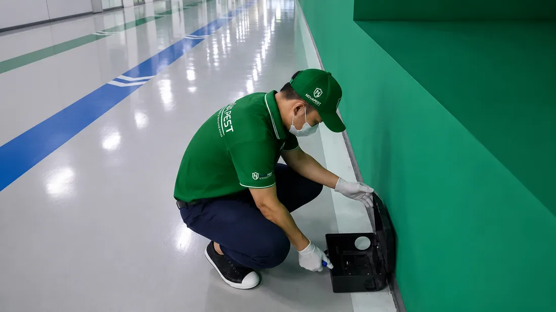 Kỹ thuật viên NOVAPEST triển khai kiểm soát chuột tại dự án - hình 5
