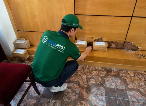 Kỹ thuật viên NOVAPEST triển khai Kiểm soát mối cho doanh nghiệp - hình 4